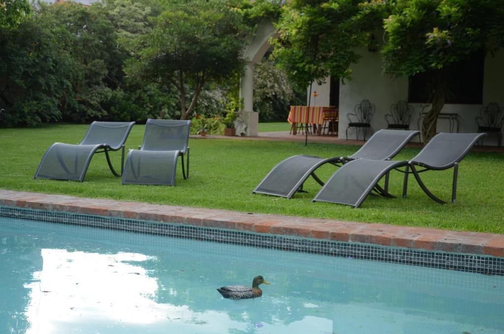 Susana Just Boutique Hotel Vicente López Dış mekan fotoğraf